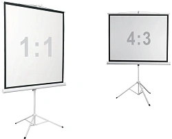 Экран на треноге Digis 135" 248x250см Kontur-D DSKD-1108 1:1 напольный рулонный белый