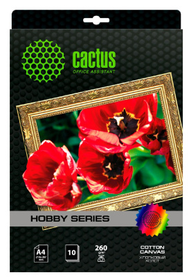 Холст Cactus CS-CA426010 A4/260г/м2/10л. для струйной печати