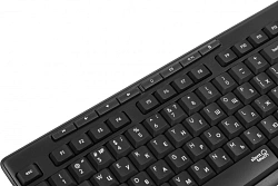Клавиатура + мышь Logitech MK295 клав:черный мышь:черный USB беспроводная (920-009807)