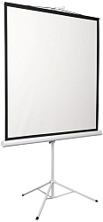 Экран Digis 86" 130x172см Kontur-D DSKD-4302 4:3 напольный рулонный
