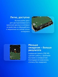 Жесткий диск WD SATA-III 12Tb WD120EFBX NAS Red Plus (7200rpm) 256Mb 3.5"