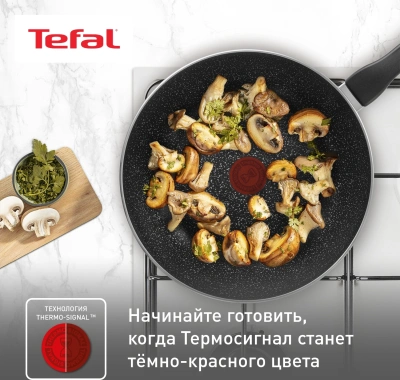 Сковорода ВОК (WOK) Tefal Brut 04220628 круглая 28см ручка несъемная (без крышки) черный (9100049056)