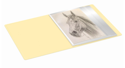 Папка с 40 прозр.вклад. Бюрократ Pastel PAST40YEL A4 пластик 0.5мм торц.карм с бум. встав желтый