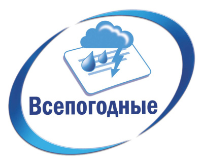 Этикетки Avery Zweckform L6012-20 A4 96x50.8мм 10шт на листе/196г/м2/20л./серебристый матовое самоклей. для лазерной печати