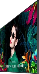 Панель Samsung 65" QM65C черный LED 8ms 16:9 HDMI M/M матовая 500cd 178гр/178гр 3840x2160 4K USB 24.9кг