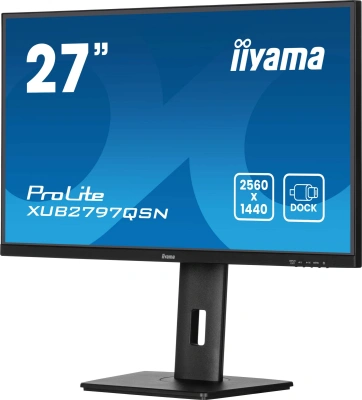 Монитор Iiyama 27" ProLite XUB2797QSN-B2 черный IPS LED 16:9 HDMI M/M матовая HAS Piv 1300:1 300cd 178гр/178гр 2560x1440 100Hz DP Quad HD 2K (1440p) USB 6.1кг