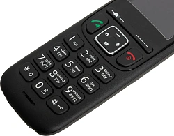 Р/Телефон Dect Gigaset AS690 SYS черный АОН