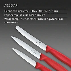 Набор ножей кухон. Victorinox Swiss Classic 6.7111.34C1 для овощей компл.:3предм. красный европодвес