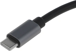 Переходник Buro ver1.4 USB Type-C (m) HDMI (f) 0.1м (BU-TYPEC-HDMI(F)) серый (пакет)