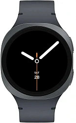 Смарт-часы Samsung Galaxy Watch 8 1.34" Super AMOLED корп.графитовый рем.графитовый (SM-L320NDAAMEA)