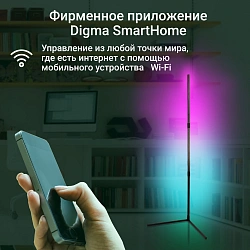 Умный светильник Digma FloorLight FL11 напол. черный (FL11)