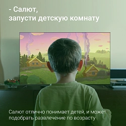 Телевизор LED Digma 65" DM-LED65UBB40 Салют ТВ Frameless Metal черный/черный 4K Ultra HD 60Hz DVB-T DVB-T2 DVB-C DVB-S DVB-S2 USB WiFi Smart TV