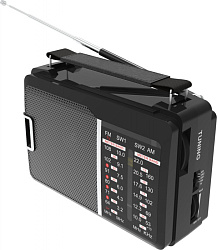 Радиоприемник портативный Ritmix RPR-190 черный