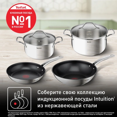 Сковорода Tefal Intuition B8170444 круглая 24см покрытие: Titanium ручка несъемная (без крышки) стальной (2100125769)