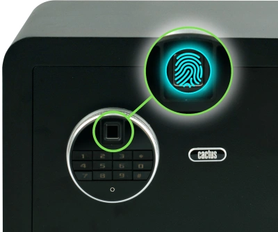 Сейф мебельный Cactus CS-SF-F25 взломостойкий 250x350x300мм электронный/ключевой/биометрический