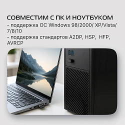 Адаптер USB Buro BU-BT531-nano BT5.3+EDR class 1.5 20м черный