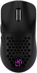 Мышь Оклик 900GMW черный оптическая 26000dpi беспров. BT/Radio USB 6but (1796786)