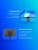 Монитор Iiyama 31.5" ProLite XB3270QSU-B1 черный IPS 16:9 HDMI M/M матовая HAS Piv 250cd 178гр/178гр 2560x1440 100Hz DP 2K USB 8.6кг