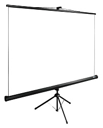 Экран Cactus 150x200см TriExpert CS-PSTE-200x150-BK 4:3 напольный рулонный черный