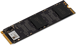 Накопитель SSD Digma PCIe 4.0 x4 1TB DGSM4001TS69T Meta S69 M.2 2280
