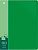 Папка с 80 прозр.вклад. Бюрократ -BPV80GRN A4 пластик 0.8мм торц.карм с бум. встав зеленый