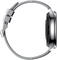 Смарт-часы Tecno Watch 4 1.43" AMOLED корп.серебристый (W04)