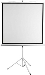 Экран Digis 84" 150x150см Kontur-D DSKD-1103 1:1 напольный рулонный