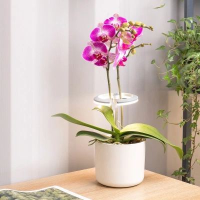 Светильник фито Cactus GARDEN светод. 7.5Вт цв.св.:белый (CS-LED-ORCHID)