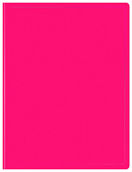 Папка с 30 прозр.вклад. Бюрократ Double Neon DNE07V30PINK A4 пластик 0.7мм розовый