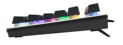 Клавиатура Acer OKW126 механическая черный USB Multimedia for gamer для ноутбука LED (ZL.KBDEE.00G)