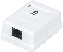 Розетка Cabeus WS-8P8C-CAT.5E-1 комп.Dual IDC кат.5E бел.