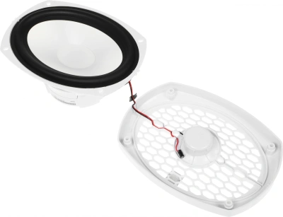 Колонки автомобильные ACV Marine M69 120Вт 89дБ 15x23см (6x9дюйм) (ком.:2кол.) коаксиальные двухполосные