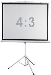 Экран Digis 120" 189x248см Kontur-D DSKD-4304 4:3 напольный рулонный