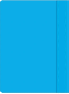 Папка-скоросшиватель Silwerhof Eco A4 прозрач.верх.лист пластик голубой 0.11/0.13