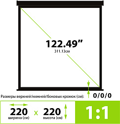 Экран Cactus 220x220см TriExpert CS-PSTE-220x220-BK 1:1 напольный рулонный черный