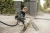 Строительный пылесос Karcher WD 5 V-25/5/22 1100Вт (уборка: сухая/сбор воды) желтый