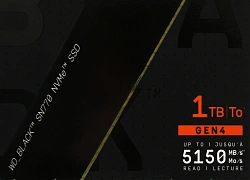 Накопитель SSD WD S PCIe 4.0 x4 1TB WDS100T3X0E Black SN770 M.2 2280
