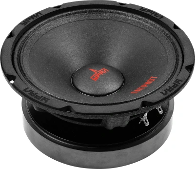 Колонки автомобильные Ural АС-ПТ165.2 ПАТРИОТ (без решетки) 600Вт 98.5дБ 4Ом 16.5см (6 1/2дюйм) (ком.:2кол.) широкополосные однополосные