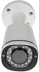 Камера видеонаблюдения IP Trassir TR-D2121IR3 3.6-3.6мм цв. корп.:белый (TR-D2121IR3 (3.6 MM))