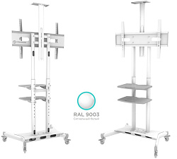 Подставка для телевизора Onkron TS1552 белый 40"-70" макс.60.5кг напольный мобильный