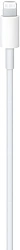 Кабель Apple A2561 MUQ93ZM/A USB Type-C (m)-Lightning (m) 1м белый