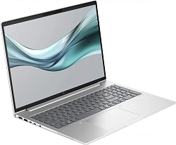 Ноутбук HP EliteBook 665 G11 Ryzen 7 7735U 16Gb SSD512Gb AMD Radeon 680M 16" IPS FHD (1920x1200) Windows 11 Home silver WiFi BT Cam (8Z717AV)