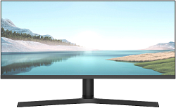 Монитор NPC 29" MZ300L черный IPS LED 21:9 (Ultrawide) HDMI M/M матовая HAS 1000:1 250cd 178гр/178гр 2560x1080 180Hz G-Sync FreeSync DP Ultra WQHD 5.2кг