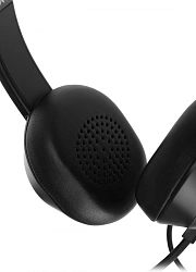 Наушники с микрофоном A4Tech Fstyler FH150U черный 2м накладные USB оголовье (FH150U BLACK)