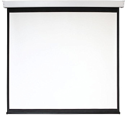 Экран Digis 112" 209x206см Electra-F DSEF-1106 1:1 настенно-потолочный рулонный (моторизованный привод)