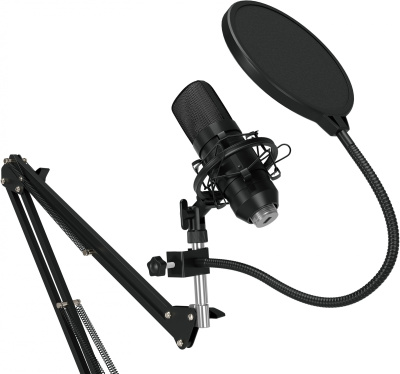 Микрофон проводной Оклик SM-600G 2.5м черный