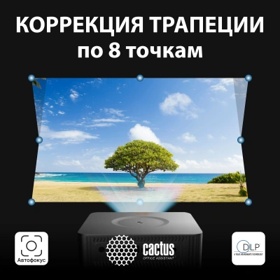 Проектор Cactus CS-M1.SG DLP 600Lm ANSI (1920x1080) 200000:1 ресурс лампы:20000часов 1xUSB typeA 1xHDMI 1.9кг