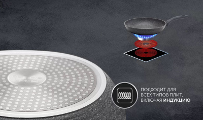 Сковорода Polaris Canto 20F круглая 20см покрытие: Pfluon ручка несъемная (без крышки) серый (019121)