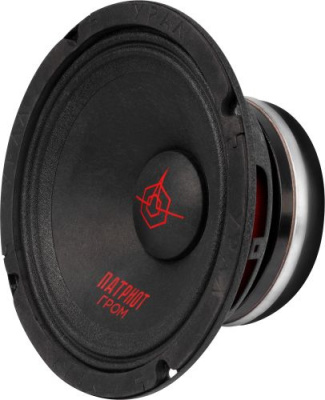 Колонки автомобильные Ural АС-ПТ165 ГРОМ (без решетки) 600Вт 99.5дБ 4Ом 16.5см (6 1/2дюйм) (ком.:1кол.) широкополосные однополосные