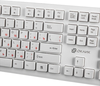 Клавиатура Оклик 505M белый USB slim